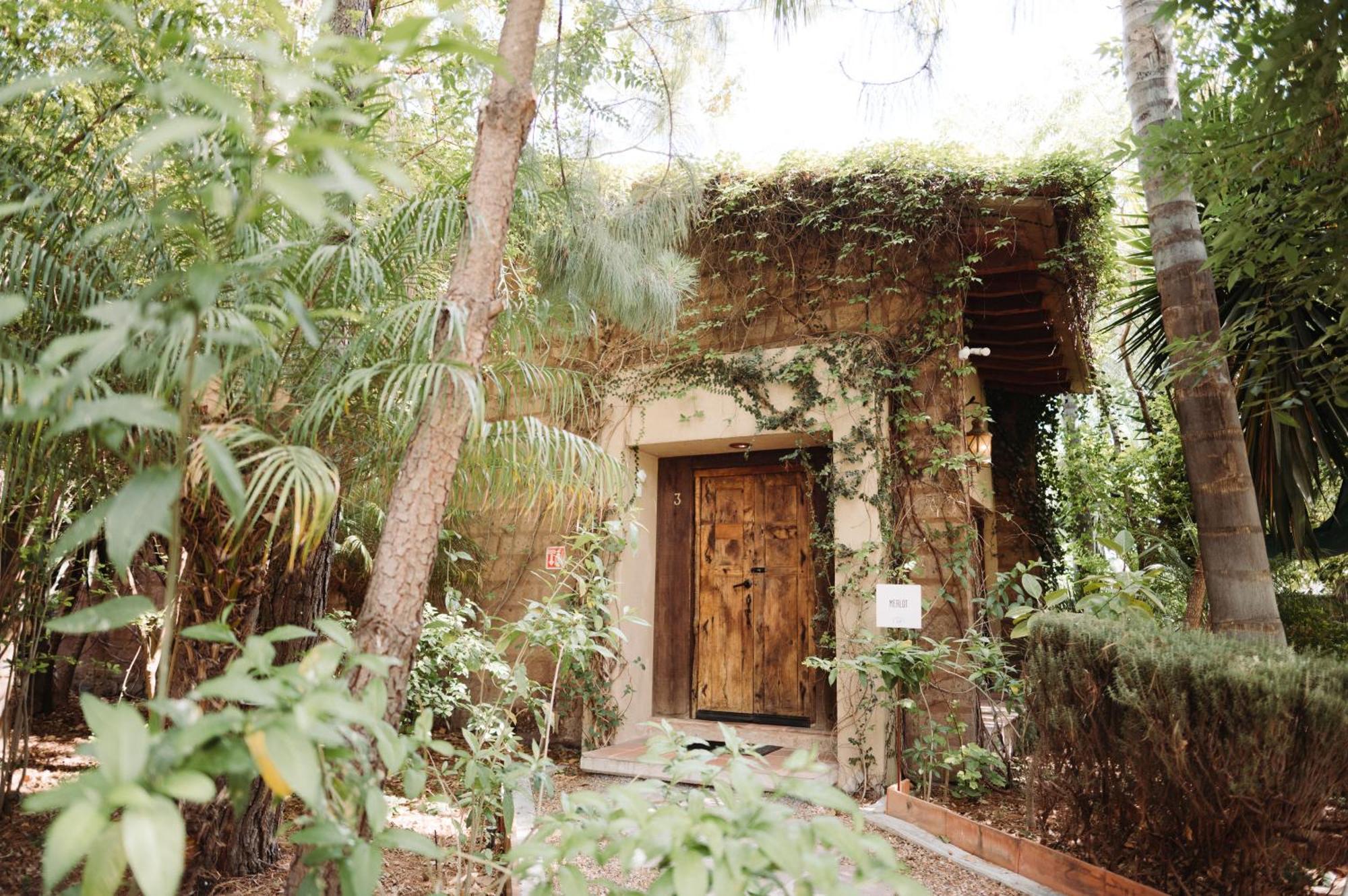 Maria & Bernardo Casa - Vinedo Bed & Breakfast El Coyote Bagian luar foto